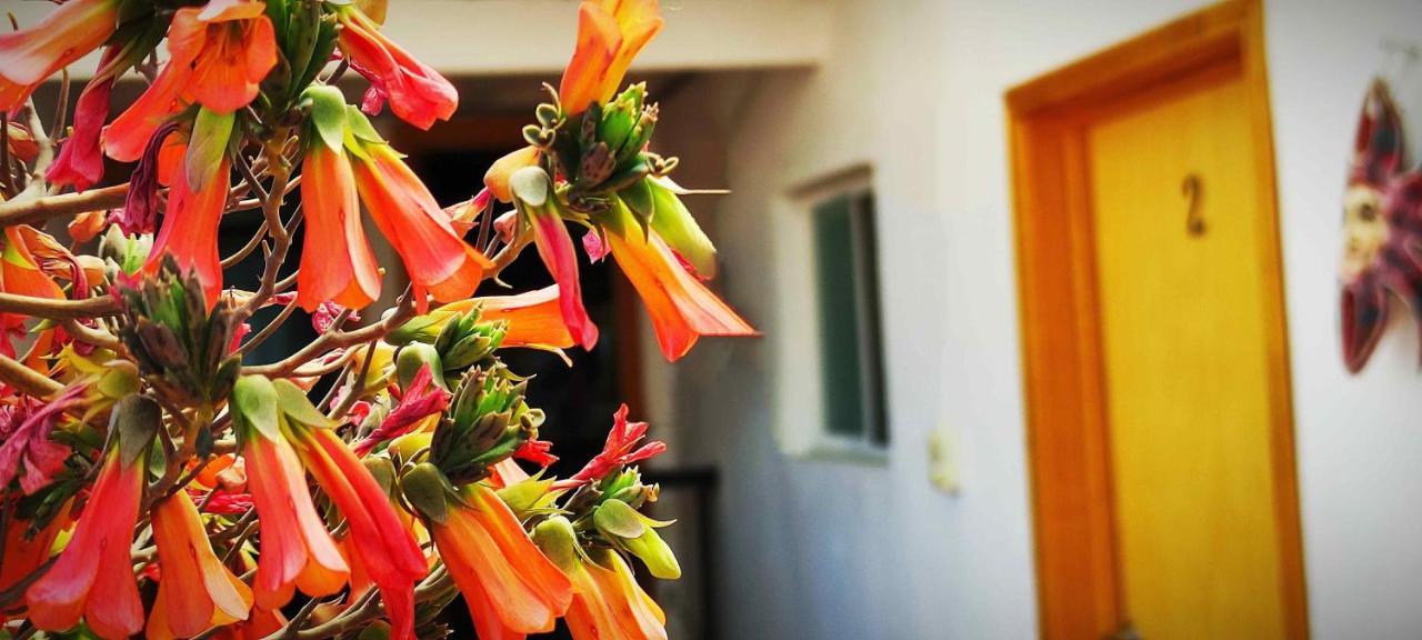 Hotel Posada Laura San Juan del Río Εξωτερικό φωτογραφία