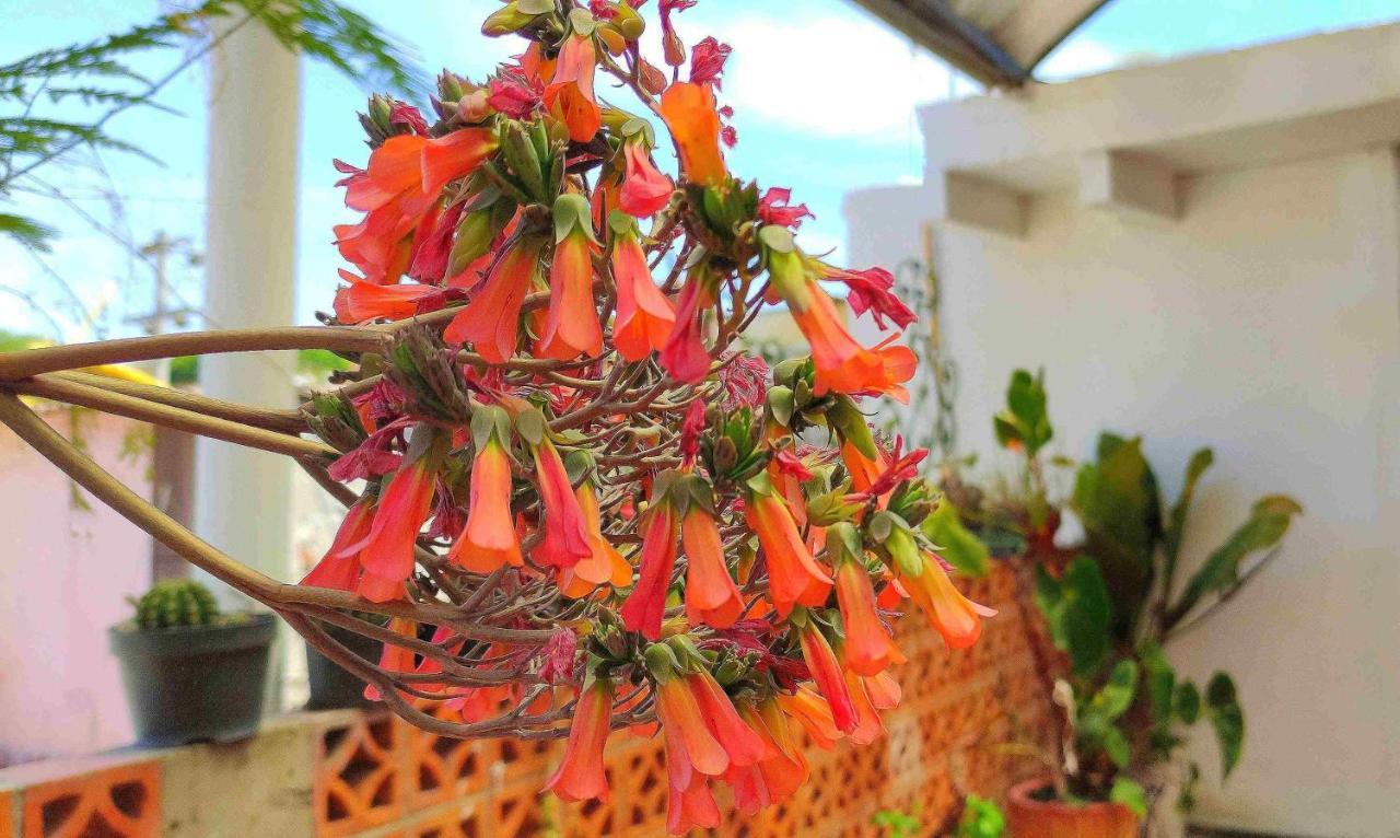 Hotel Posada Laura San Juan del Río Εξωτερικό φωτογραφία